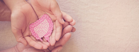 A Healthy Digestive System is Vital to Feeling Good