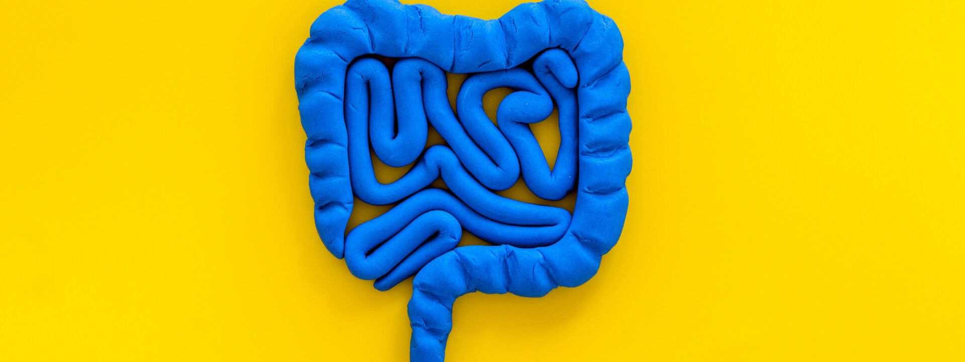 Unhappy Tummy: The Link Between Diet And Mood