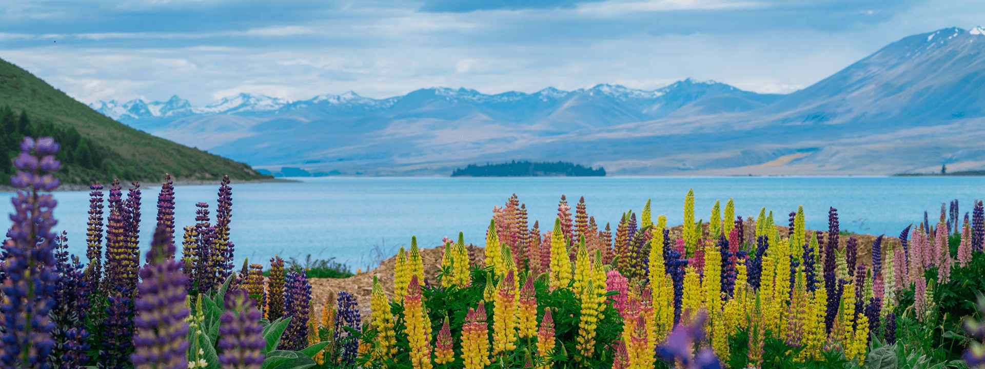 FDA Recognizes New Zealand as Having a Comparable Food Safety System