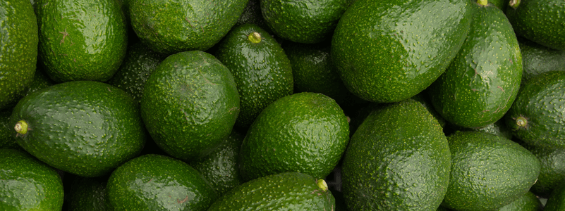 Avocado Oil