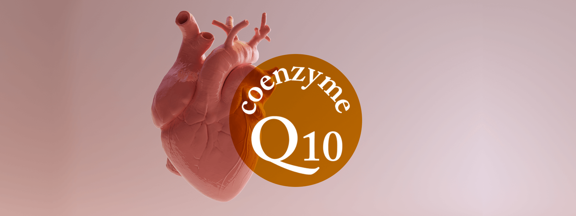 The Top 8 Frequently Asked Questions About CoQ10