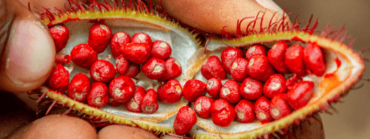 Geranylgeraniol (GG)