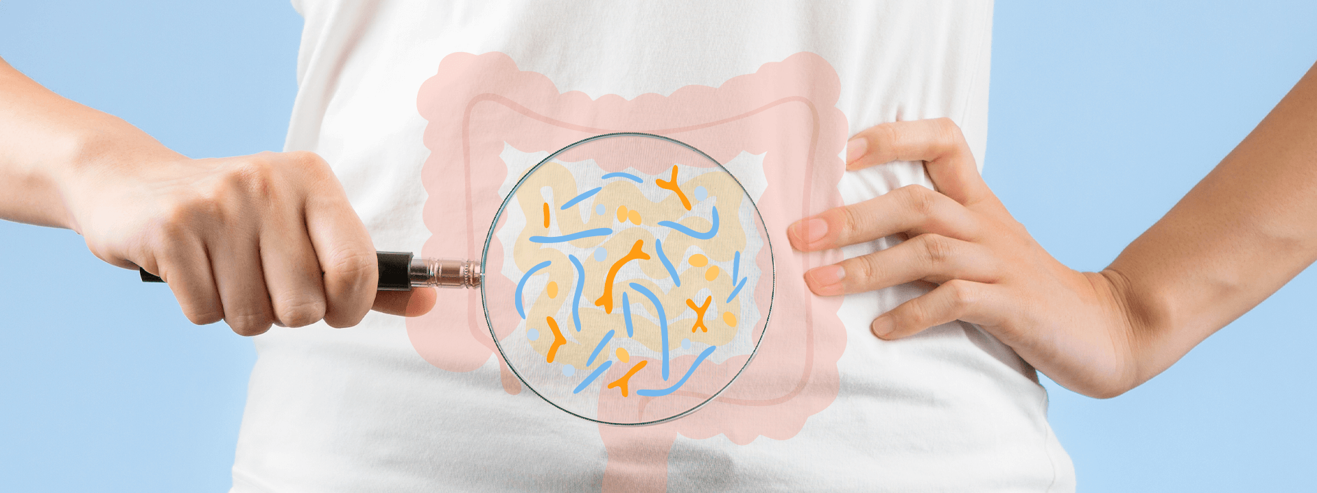 How Your Microbiome Shapes Your Health