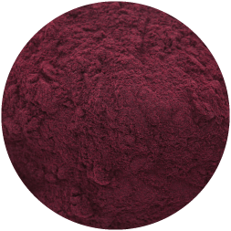 Blackcurrant Fruit Powder From New Zealand