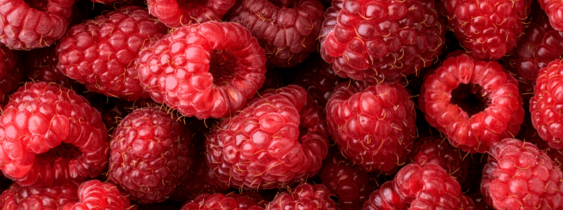 Raspberry Seed Oil
