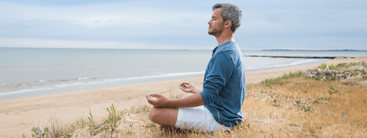 Victory Over Stress in Men