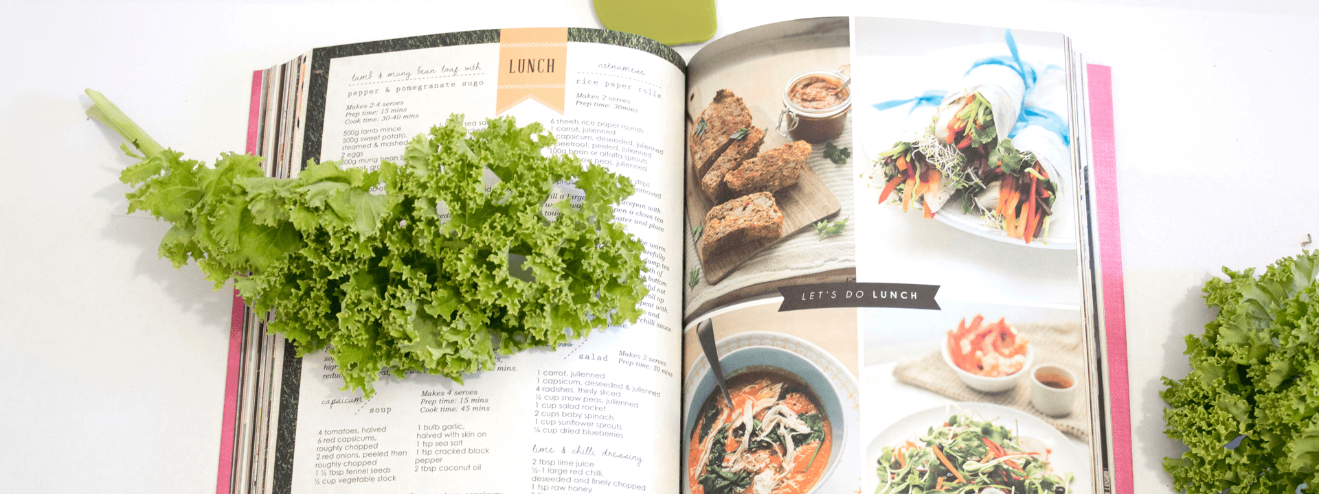 Curious About Low-Calorie Diets?  Here is the Guide