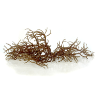 Brown Seaweed Extract