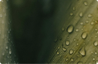 The Ingredient Index