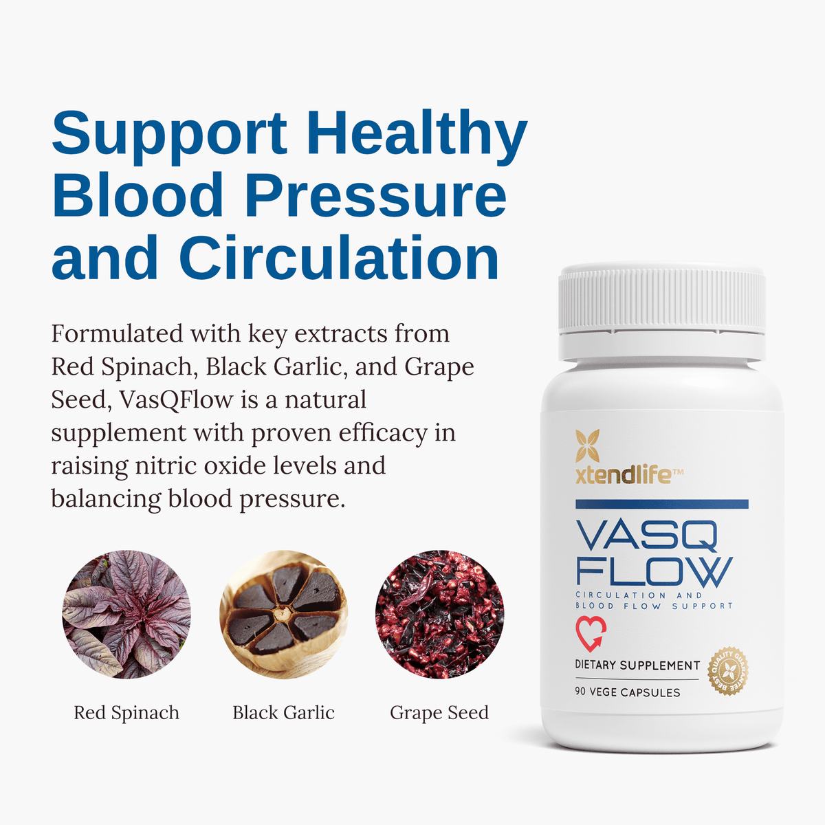 VasQFlow - Nitric Oxide Booster