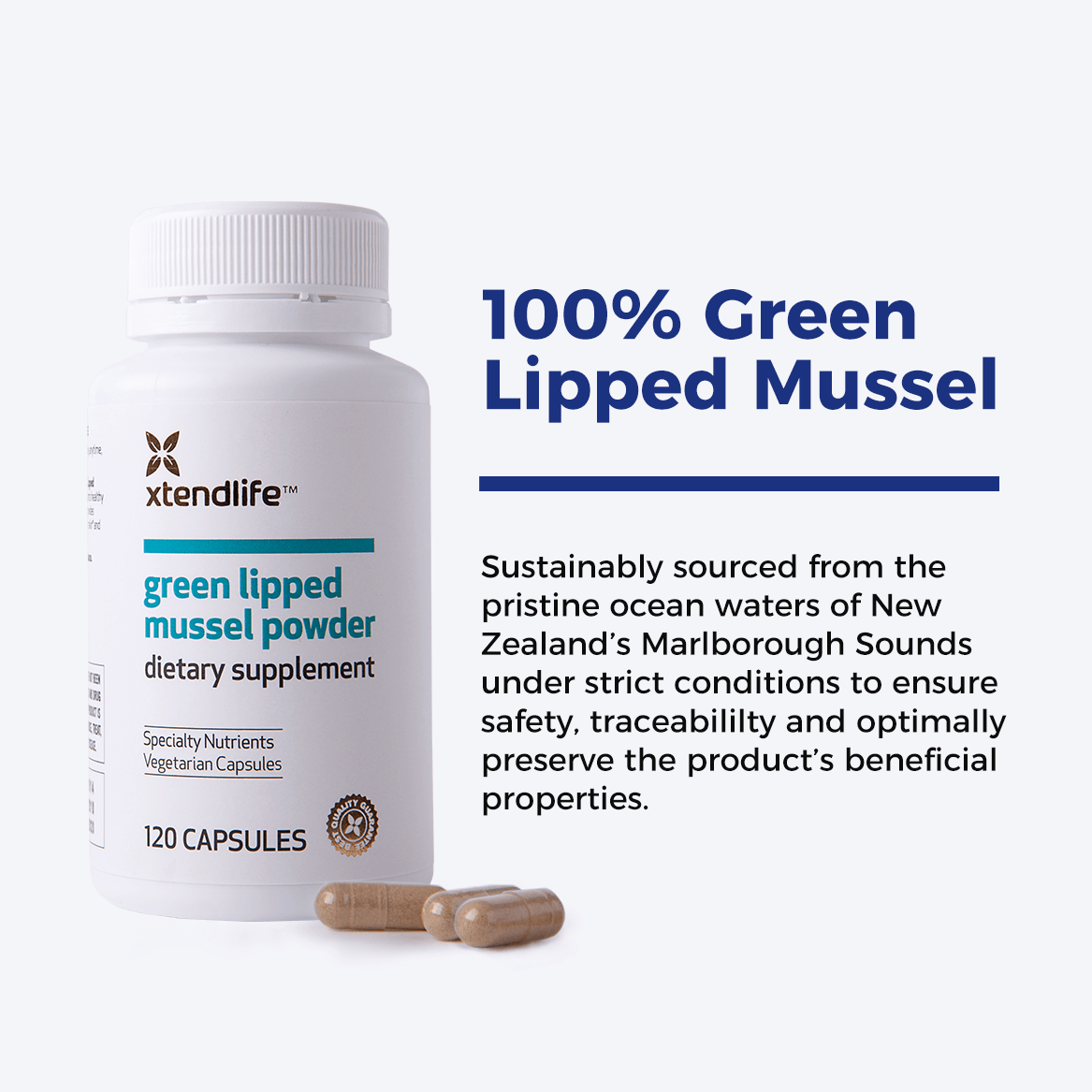 Green Lipped Mussel Powder